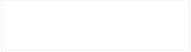THE TEAM